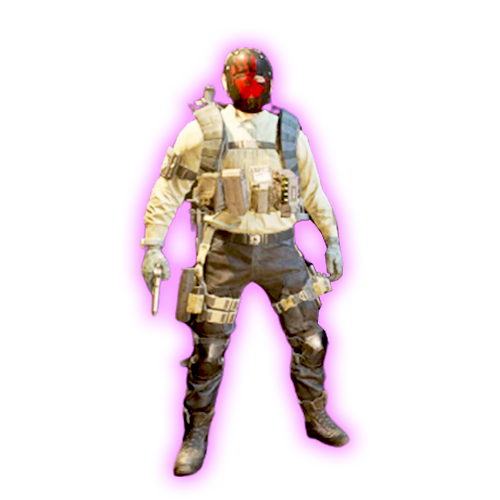 Striker PvE Build For Sale