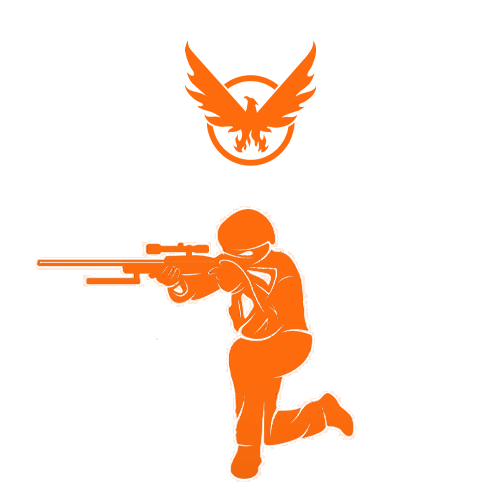 One-Shot Sniper PvE & PvP Build For Sale