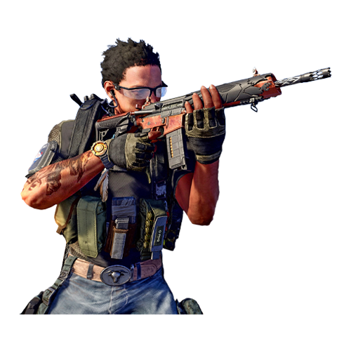 Assault Rifle PvE Build For Sale