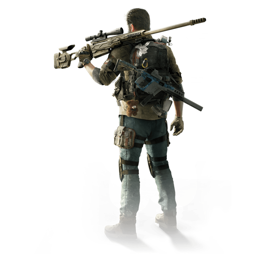 Division 2 Custom Build Service