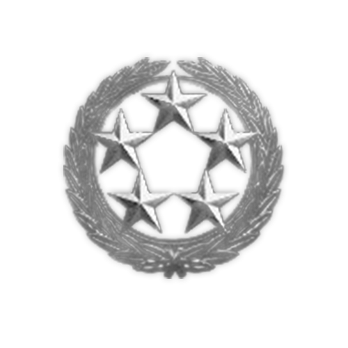 Player Level Boost (1-55)